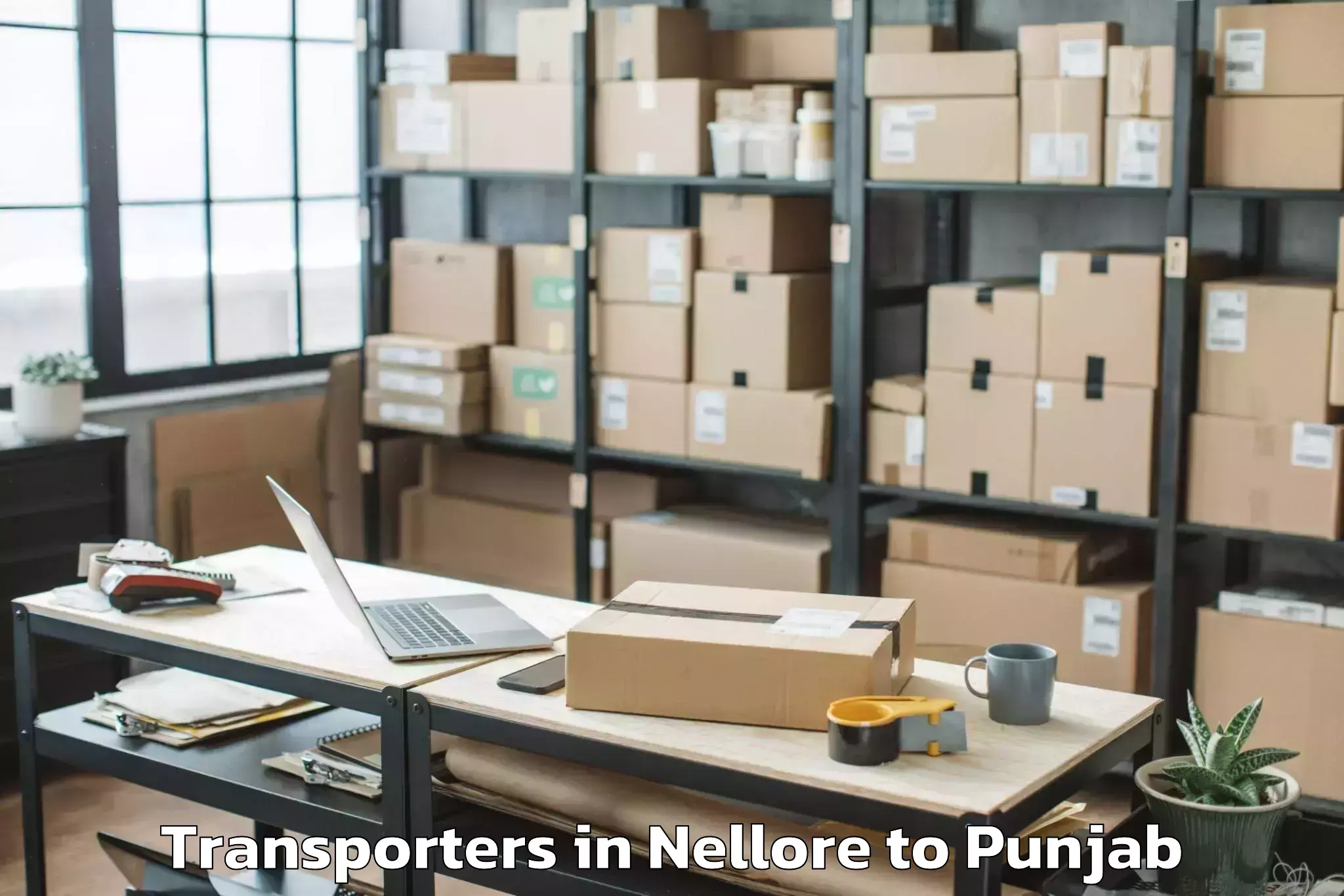 Top Nellore to Chitkara University Punjab Pun Transporters Available